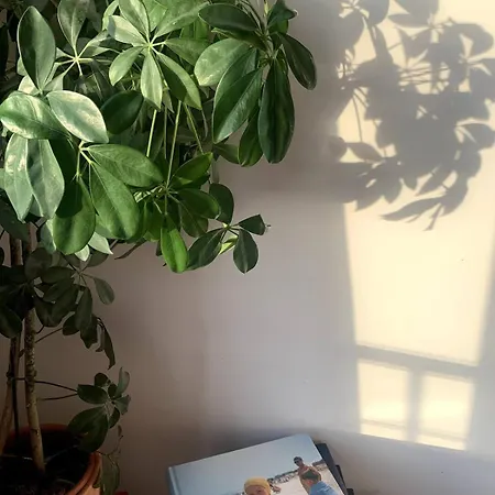 Appartamento Avec Vue